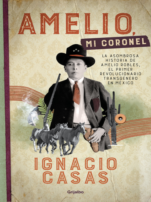 Cover image for Amelio, mi coronel